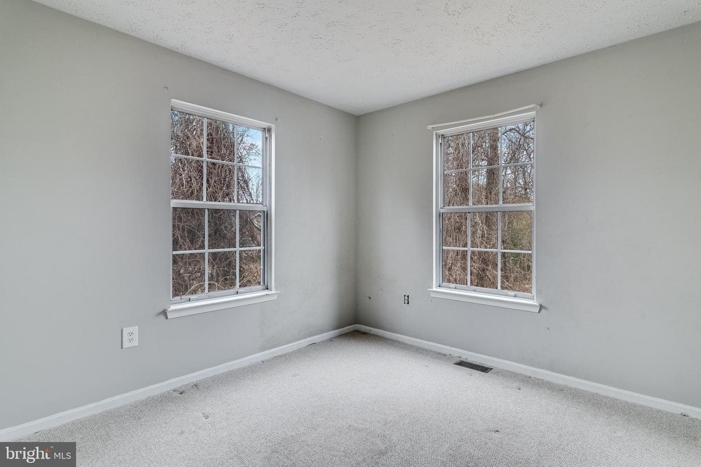 11789 Majestic Place photo 22