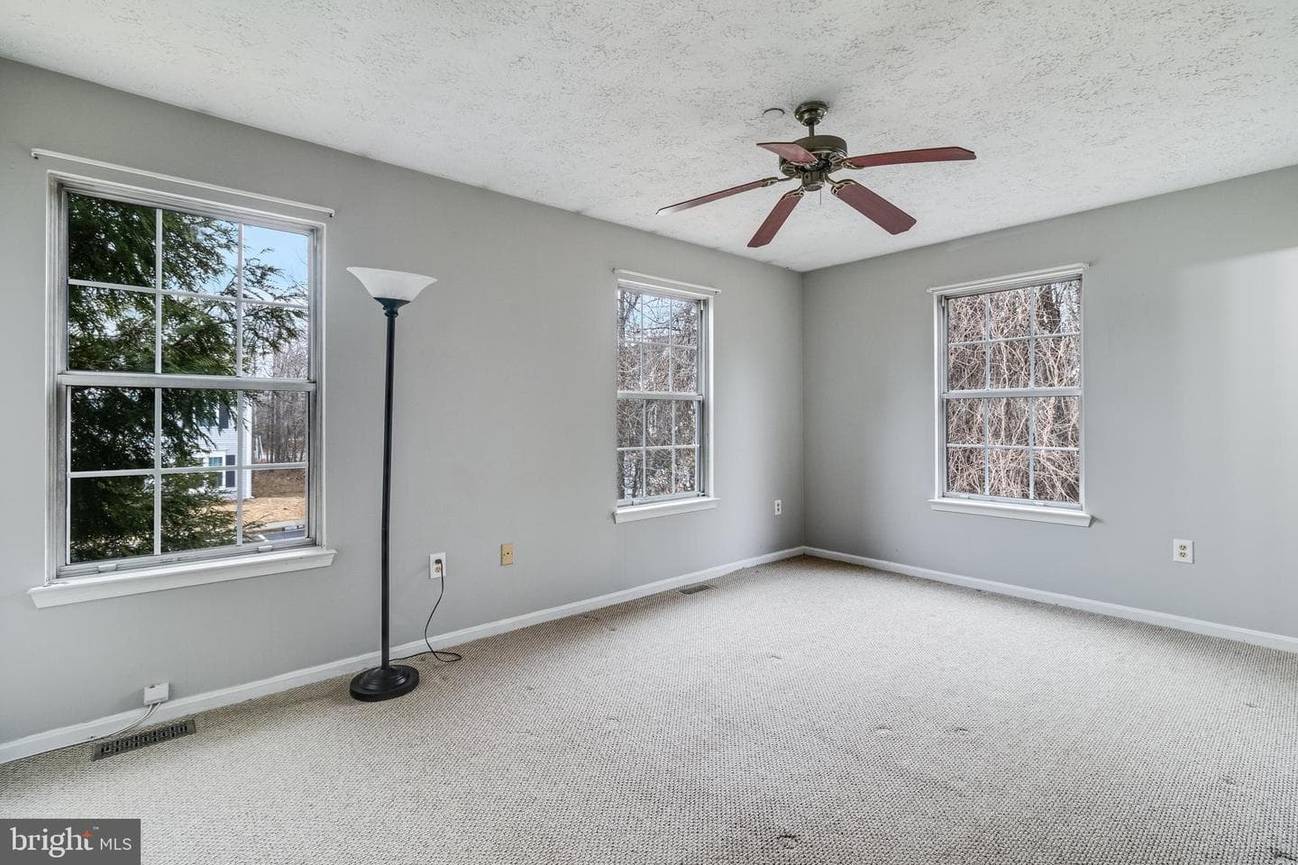 11789 Majestic Place photo 25