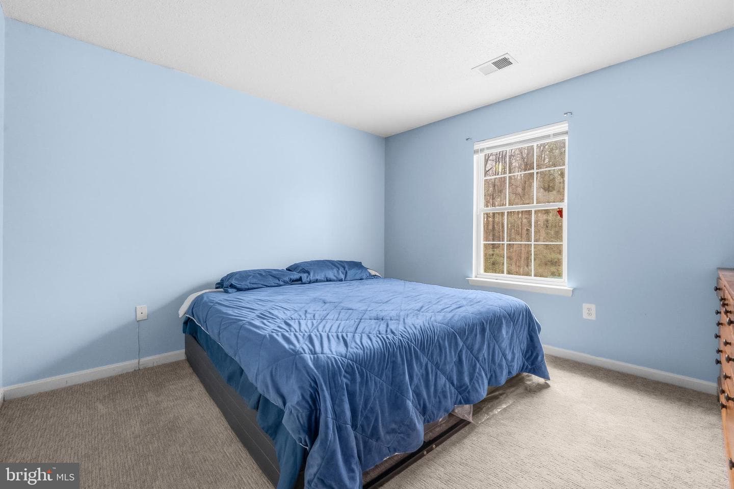 115 Myrtleleaf Circle photo 18