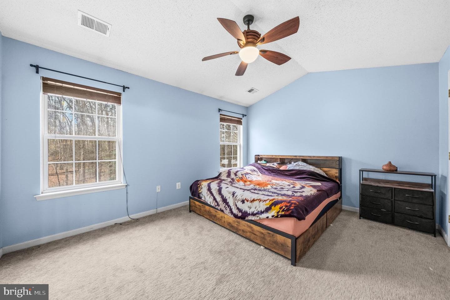 115 Myrtleleaf Circle photo 23