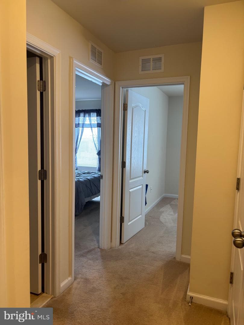 5404 Spotswood Place photo 38