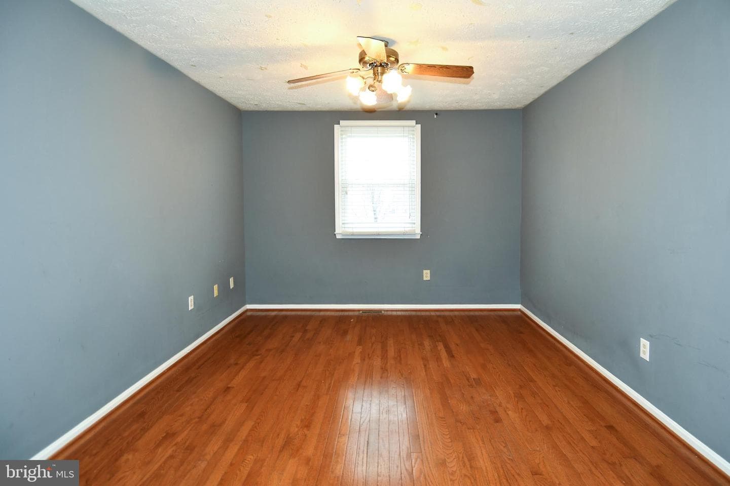 6724 Dolphin Court photo 25
