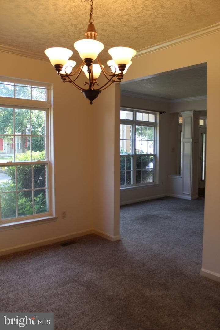 10111 Astill Court photo 12