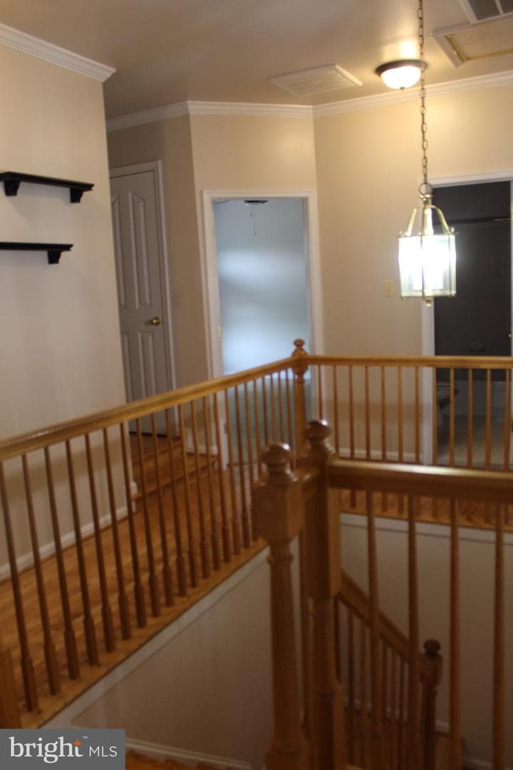 10111 Astill Court photo 17