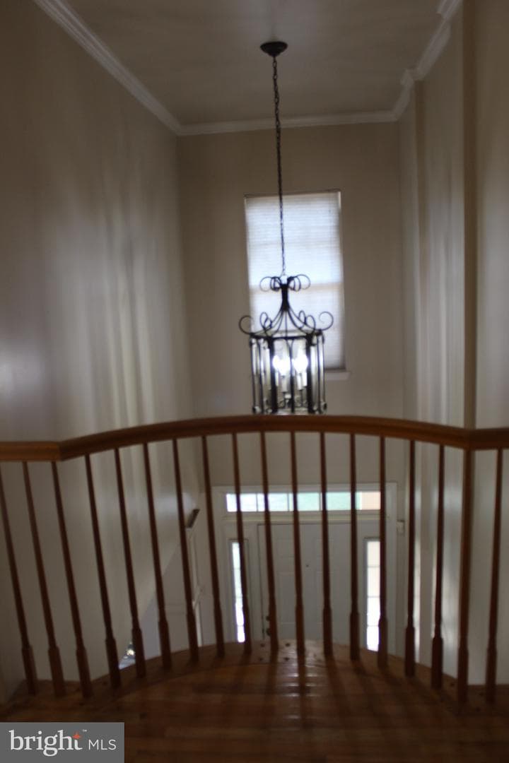 10111 Astill Court photo 18