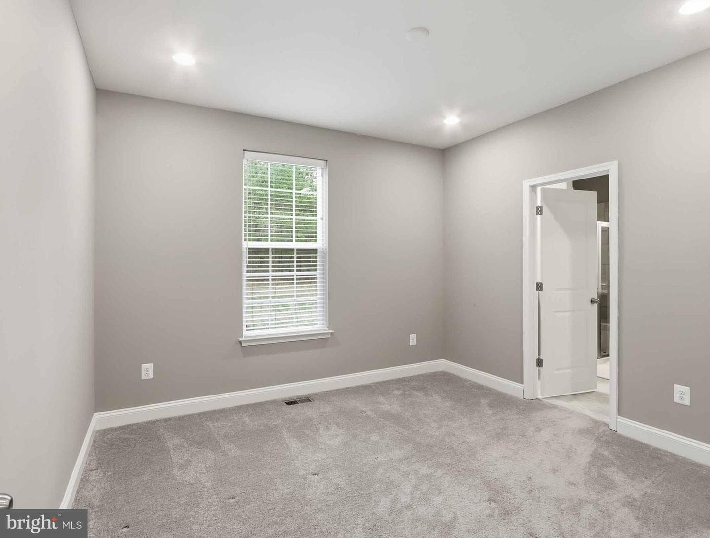 4475 Irish Peach Court photo 10