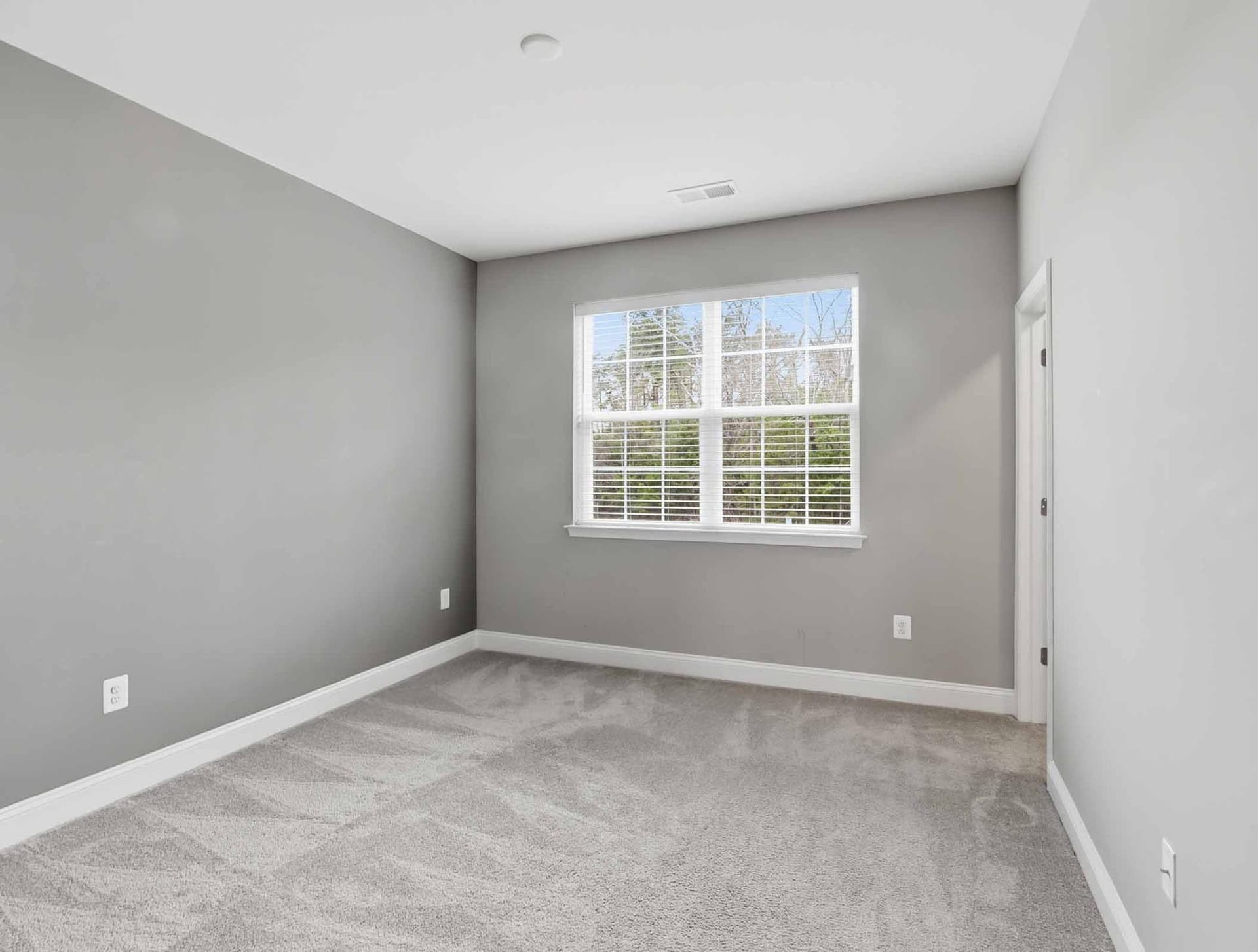 4475 Irish Peach Court photo 14