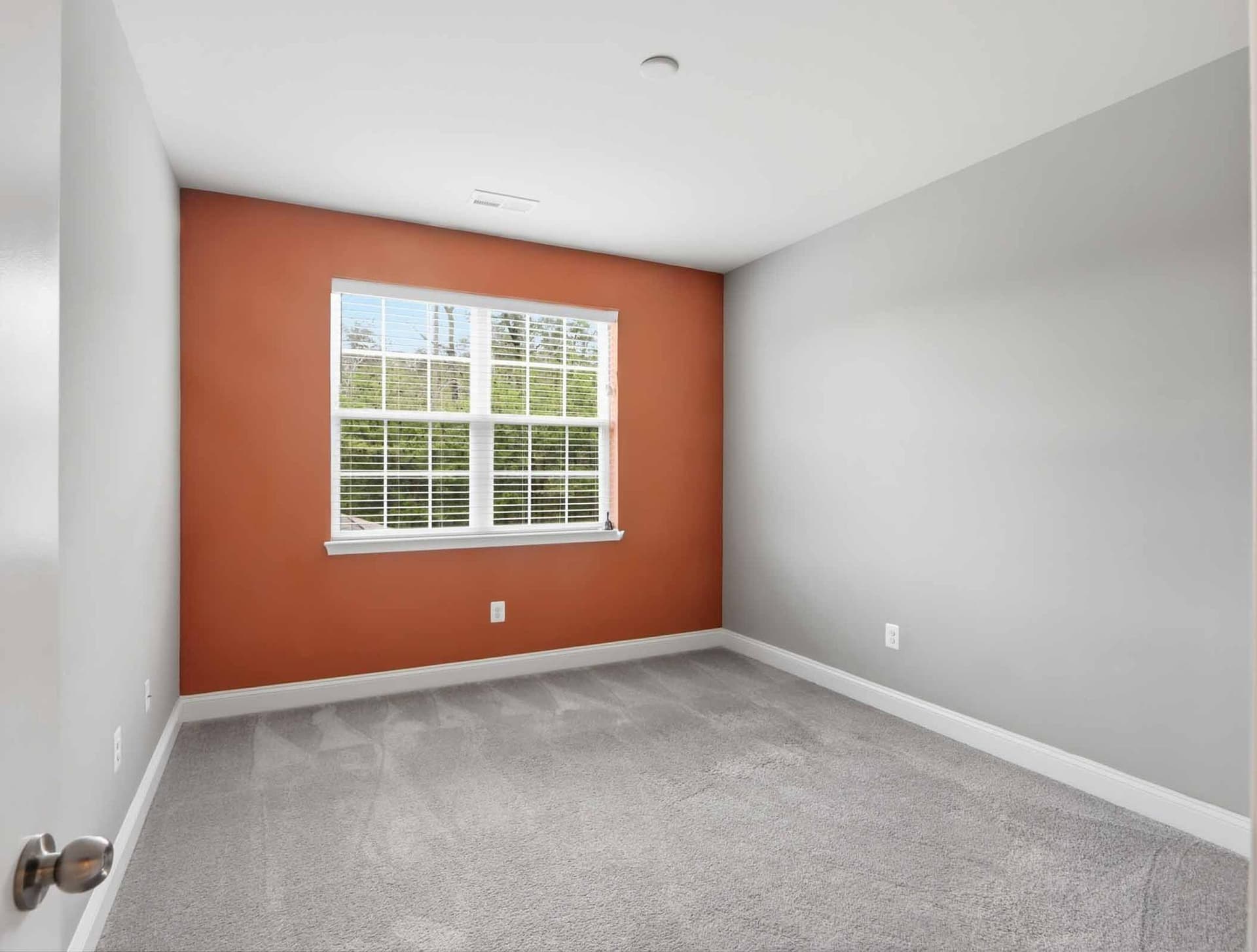 4475 Irish Peach Court photo 17