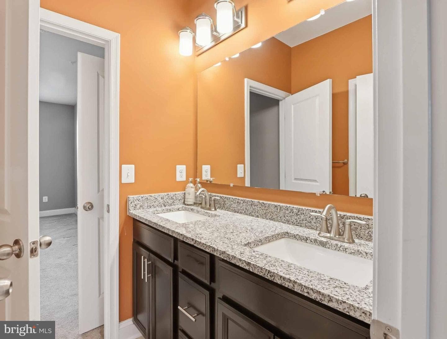 4475 Irish Peach Court photo 19