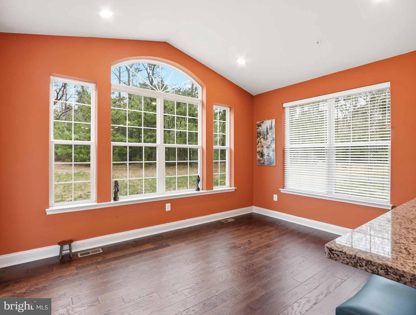 4475 Irish Peach Court photo 5