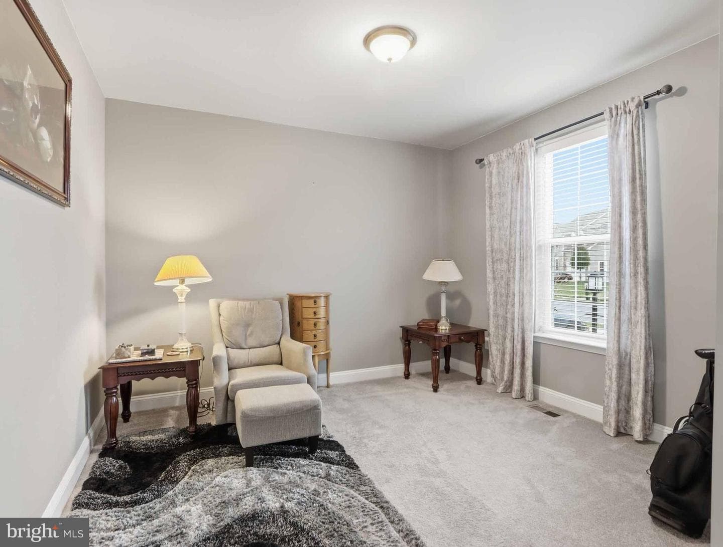 4475 Irish Peach Court photo 6