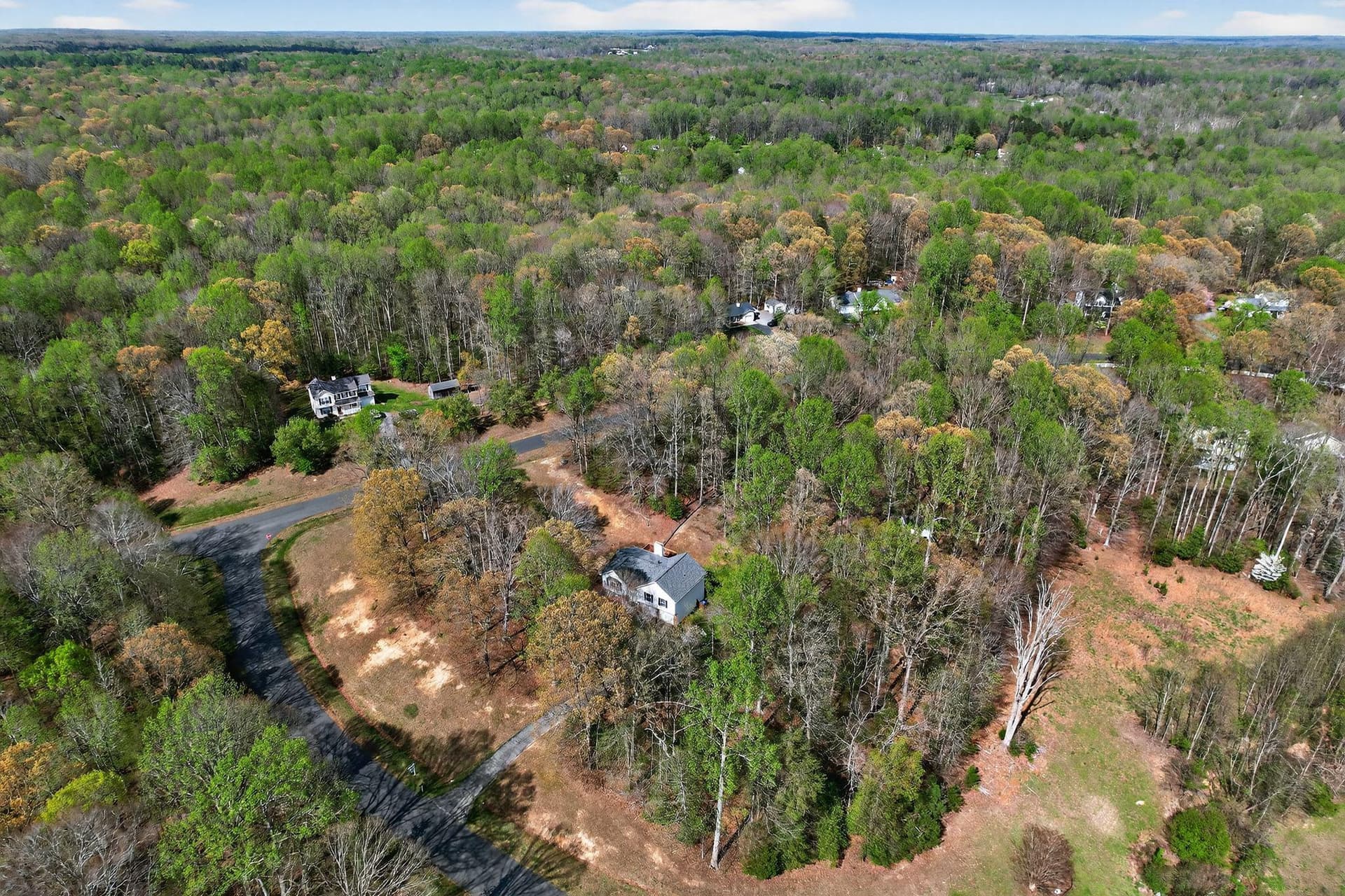 4800 Blueberry Drive photo 2