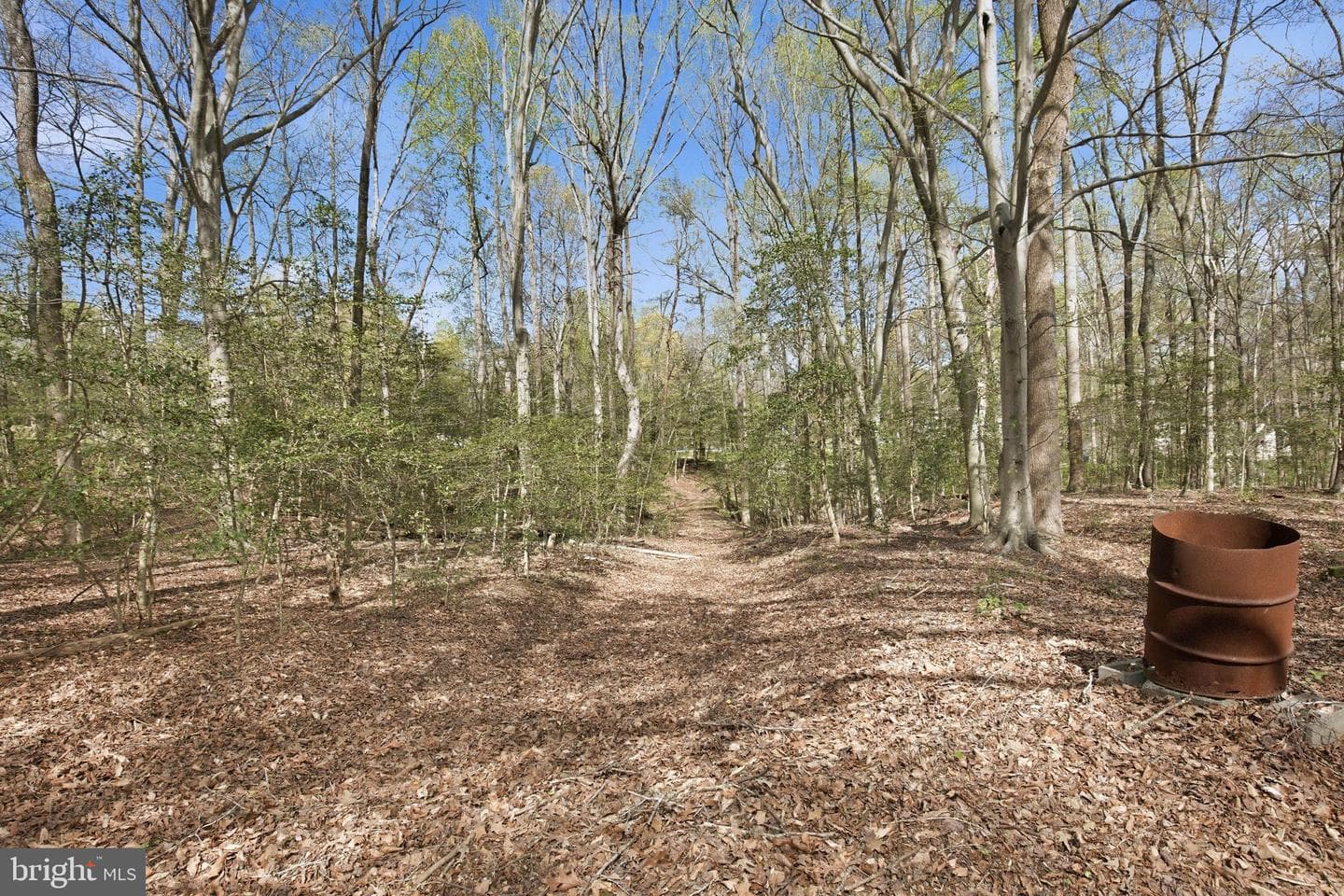 4800 Blueberry Drive photo 21