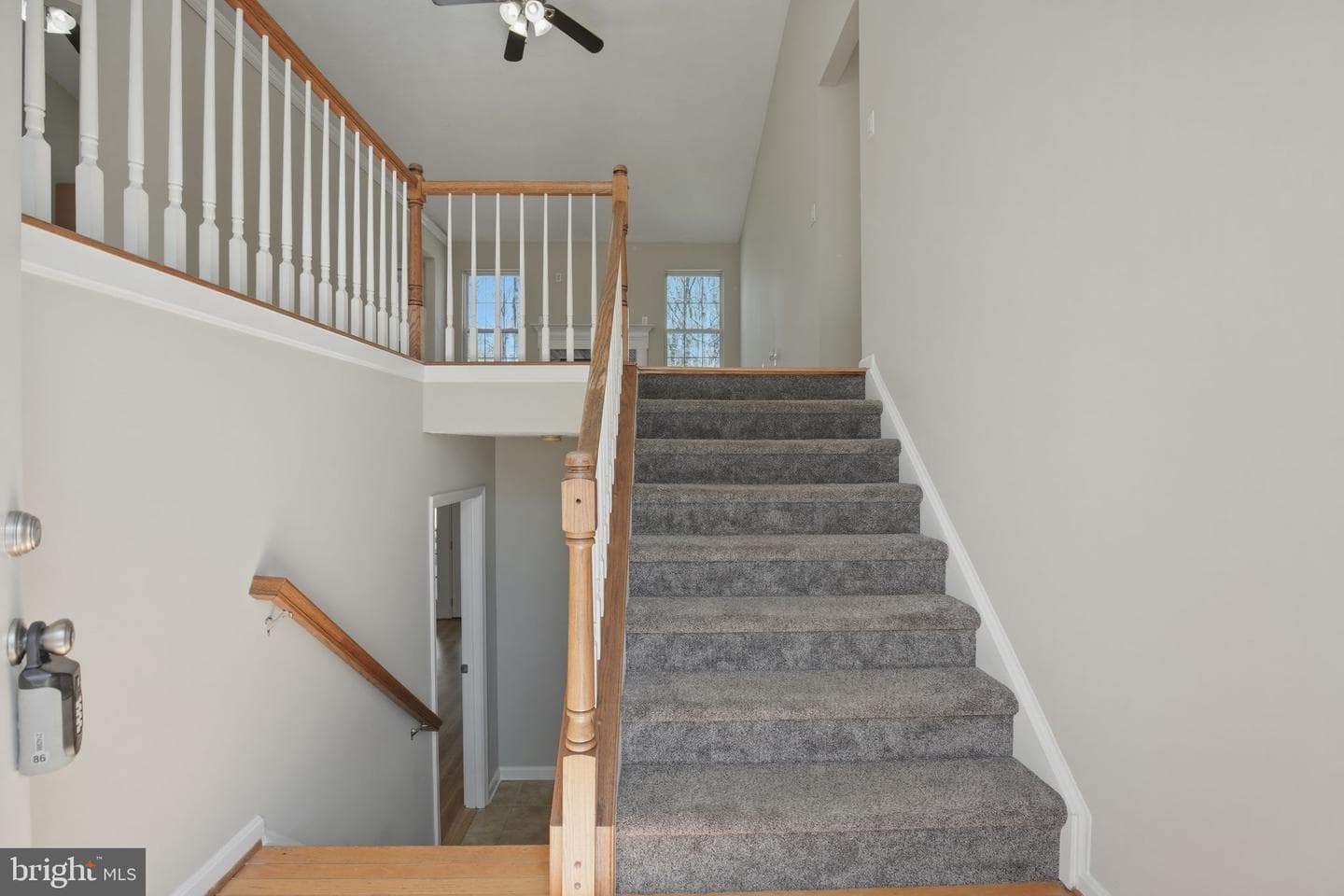 4800 Blueberry Drive photo 22