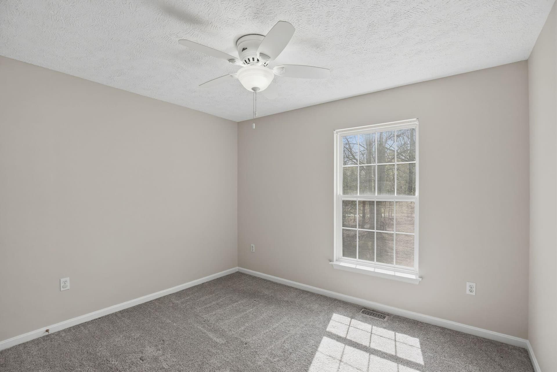 4800 Blueberry Drive photo 39