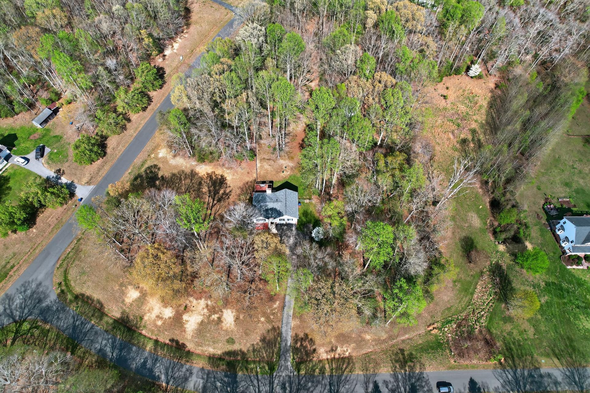 4800 Blueberry Drive photo 5