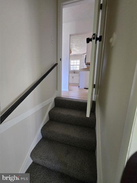 12276 Wendy Lane photo 29