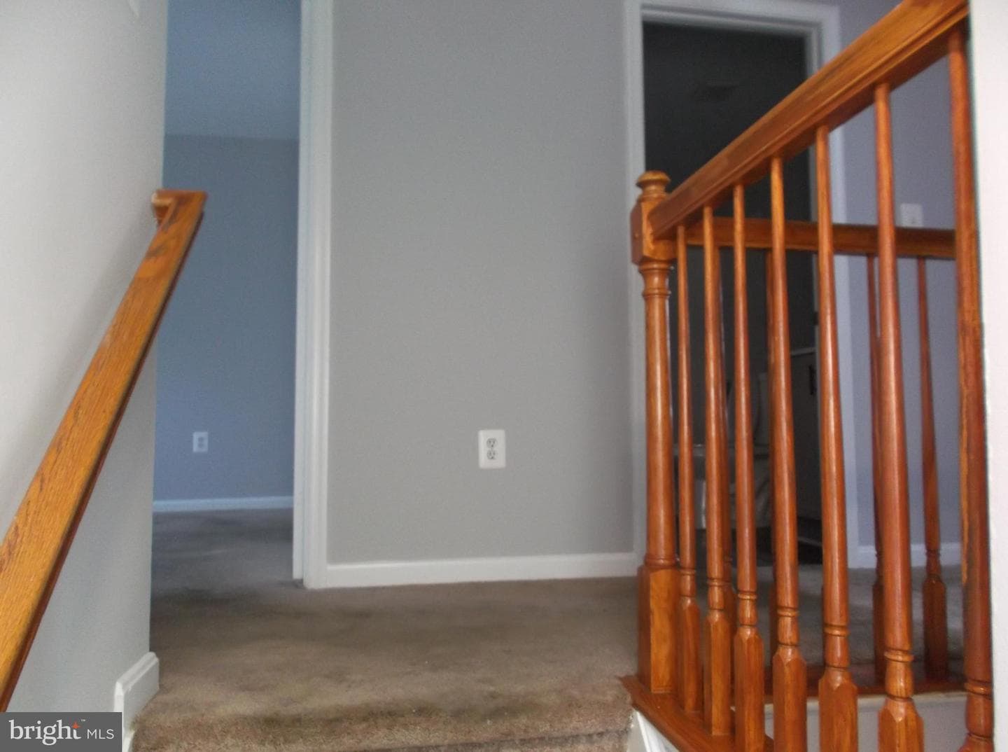 9906 Robstown Place photo 24