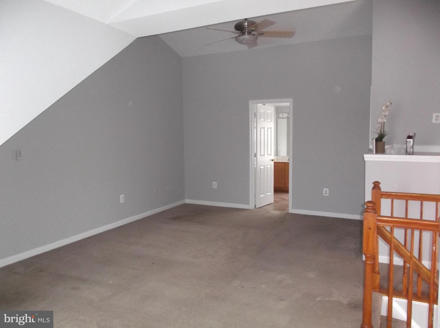 9906 Robstown Place photo 48
