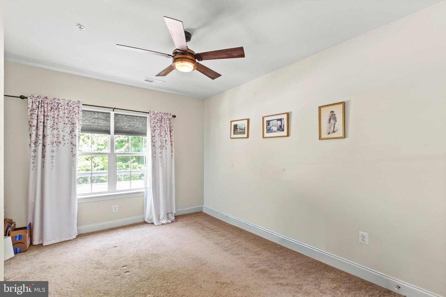 36 Derby Drive photo 20