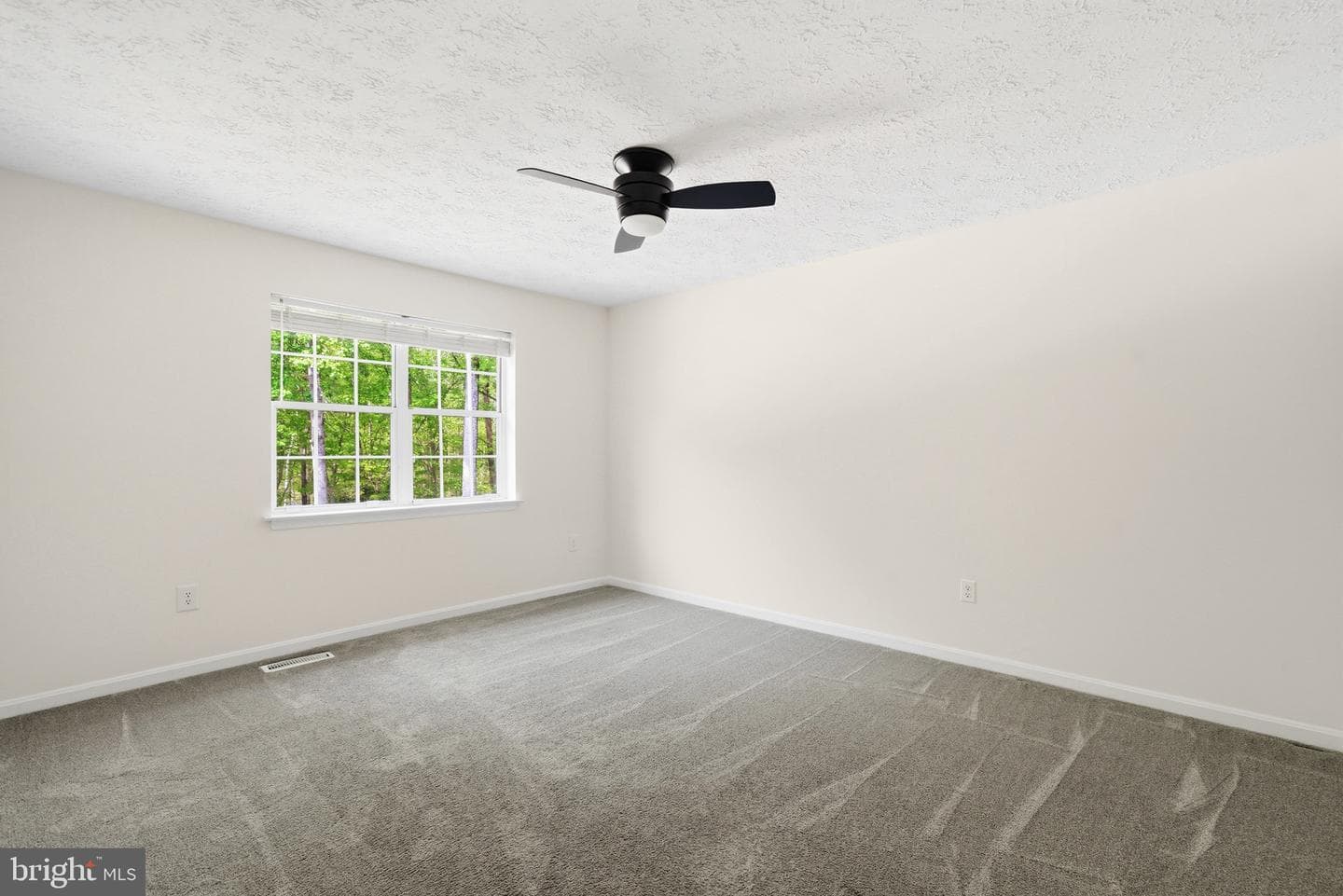 105 Quailwood Parkway photo 24