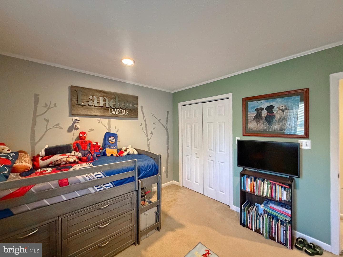 9486 Canary Drive photo 50