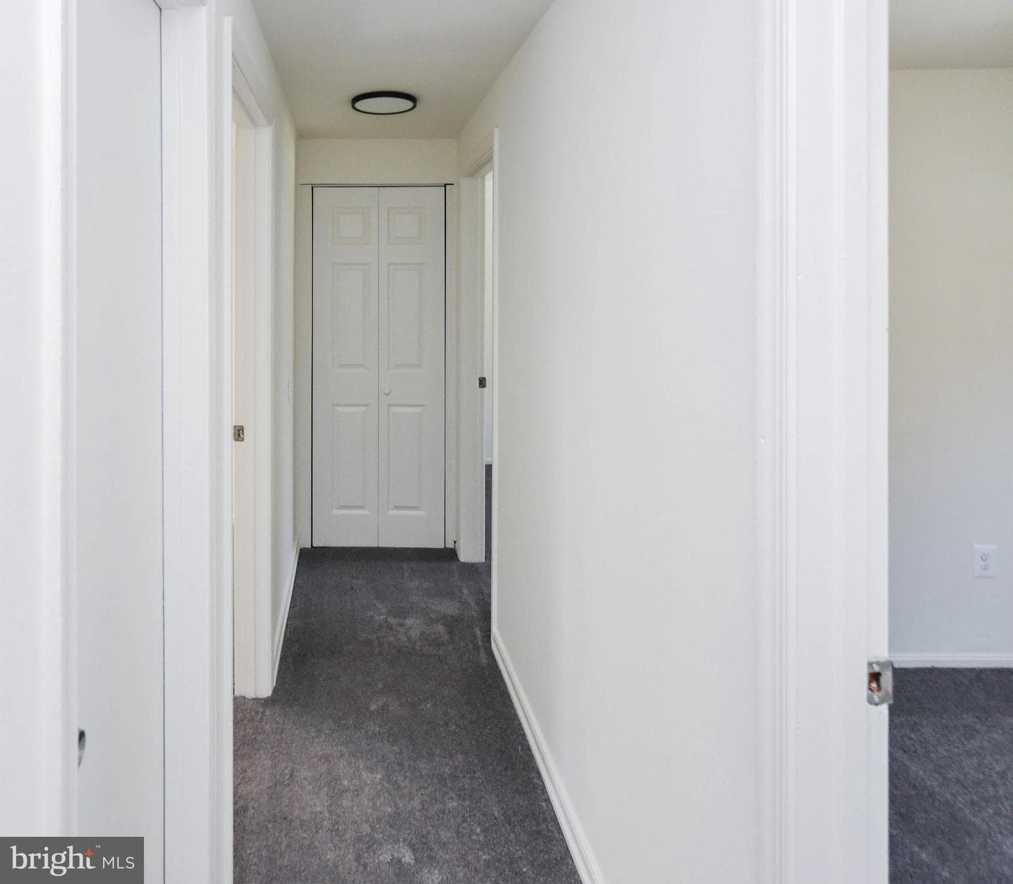 1736 Brightwell Court photo 27