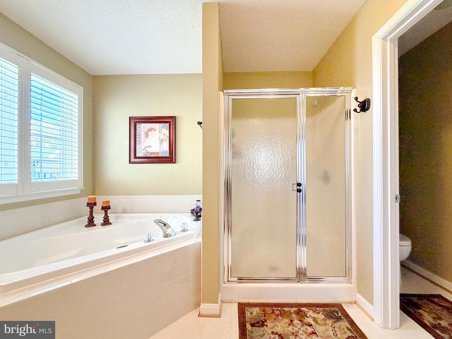 1019 Norfolk Drive photo 47