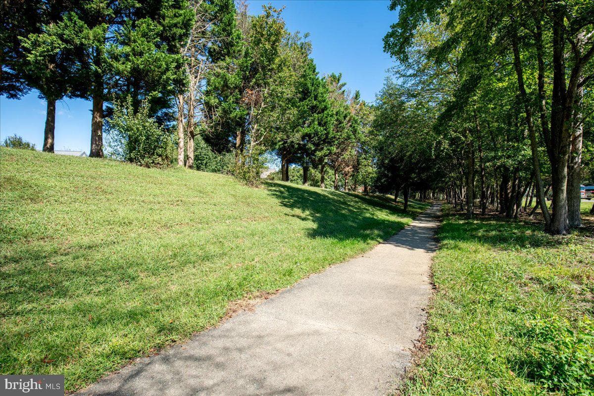 6071 Red Squirrel Place photo 64