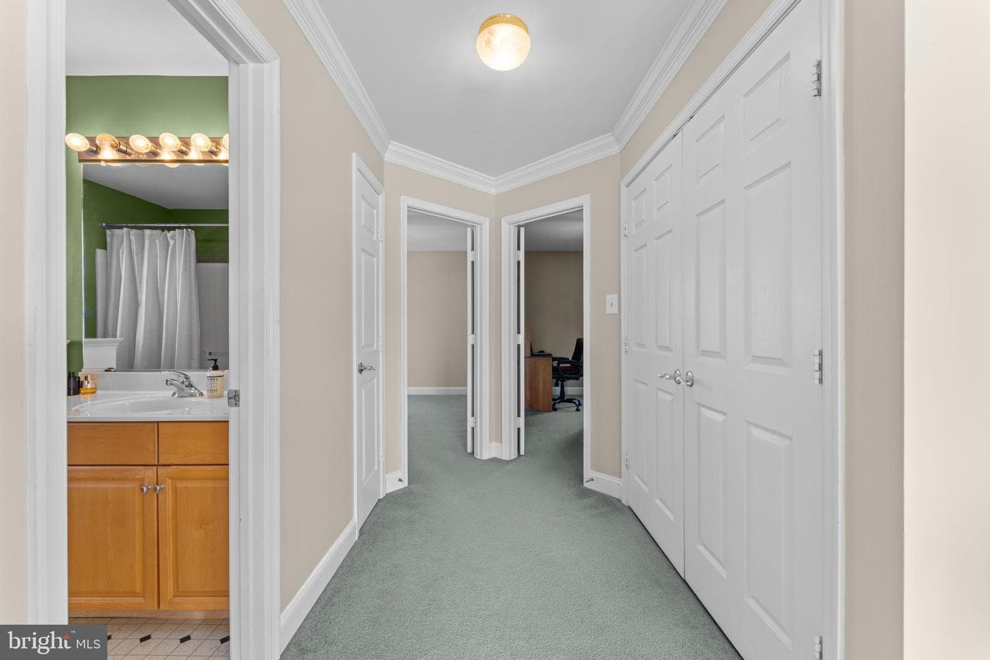 3035 Wildflower Drive photo 32