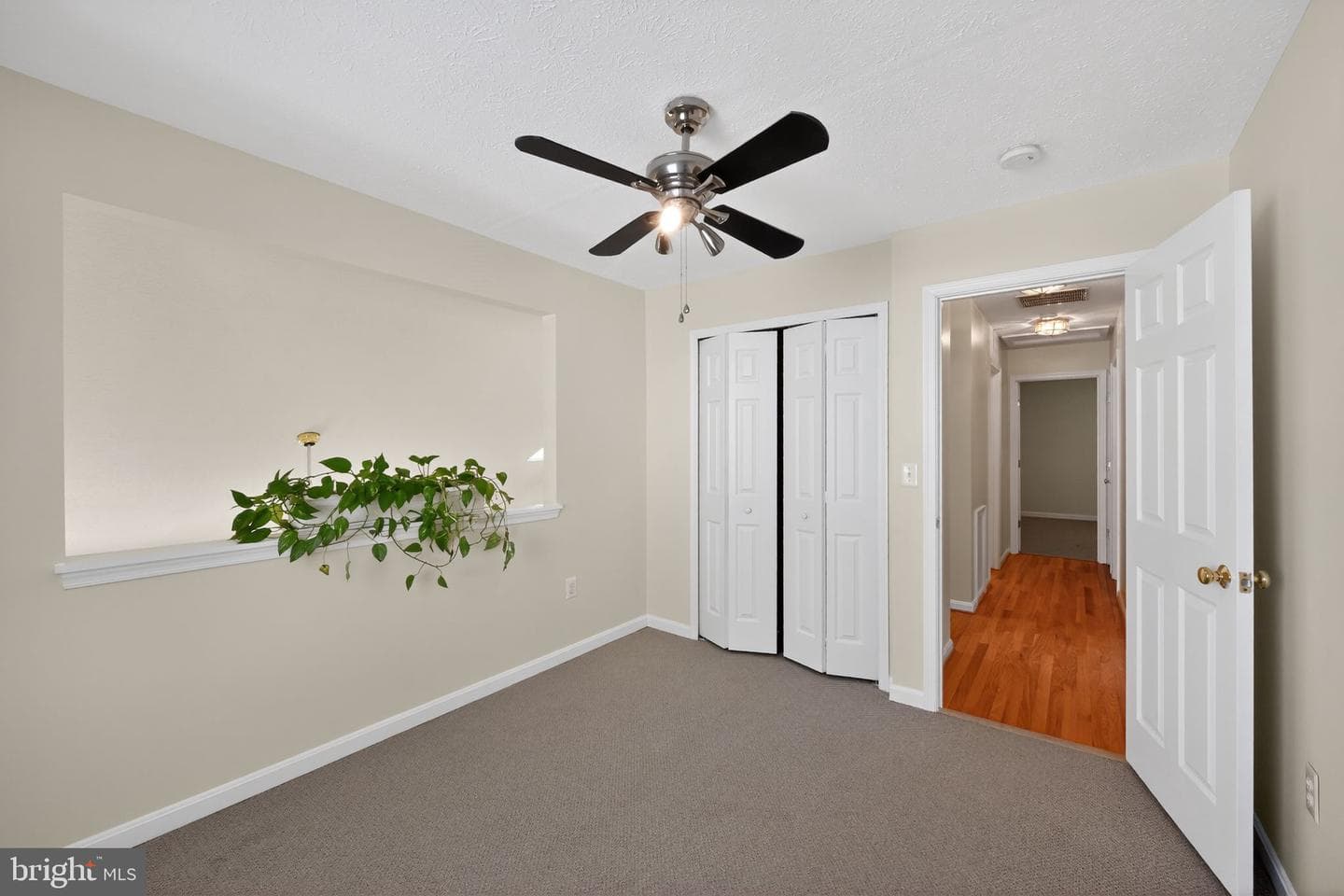 10325 Cassidy Court photo 23