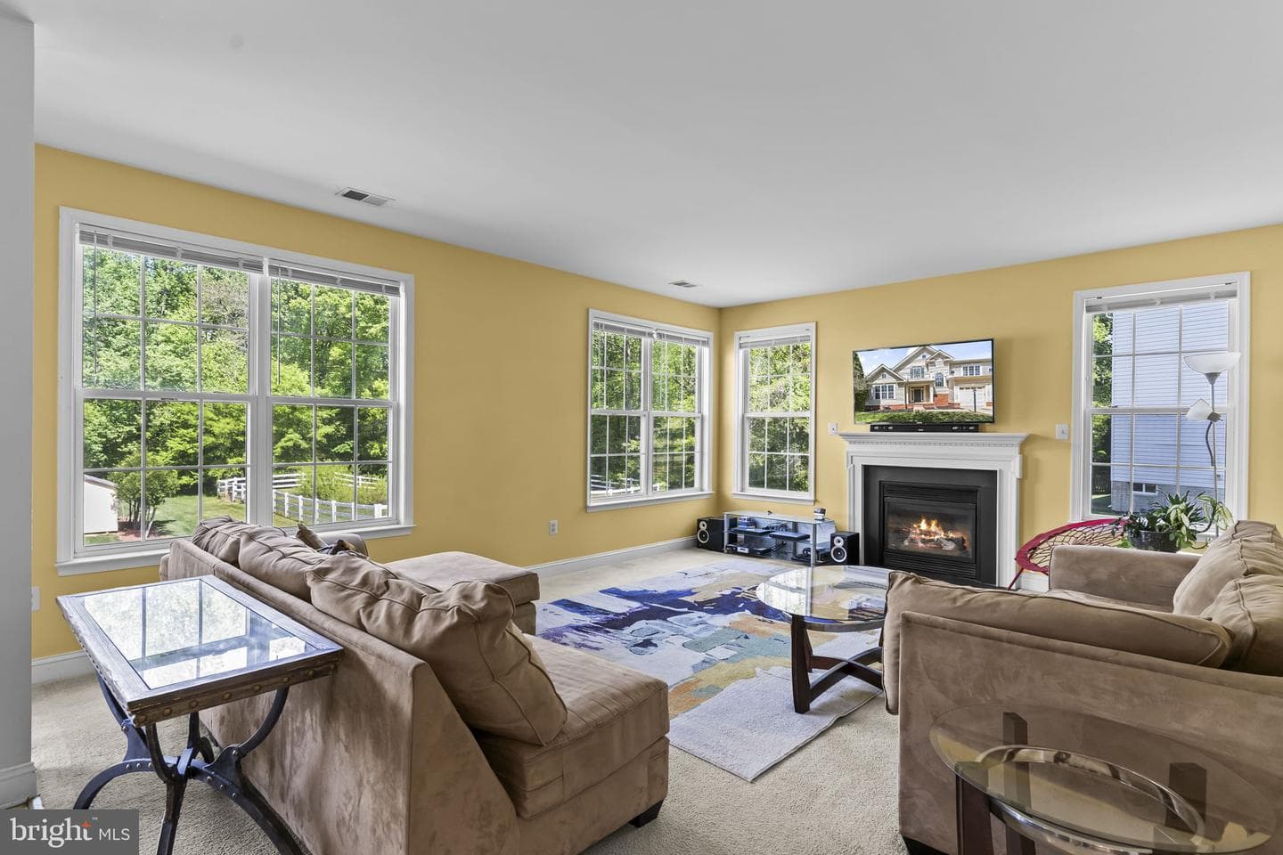 11310 Wildmeadows Street photo 5