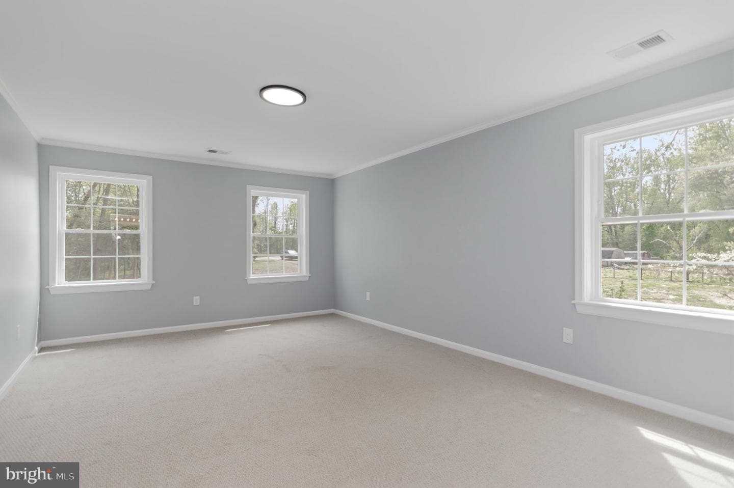 12888 Leman Lane photo 21
