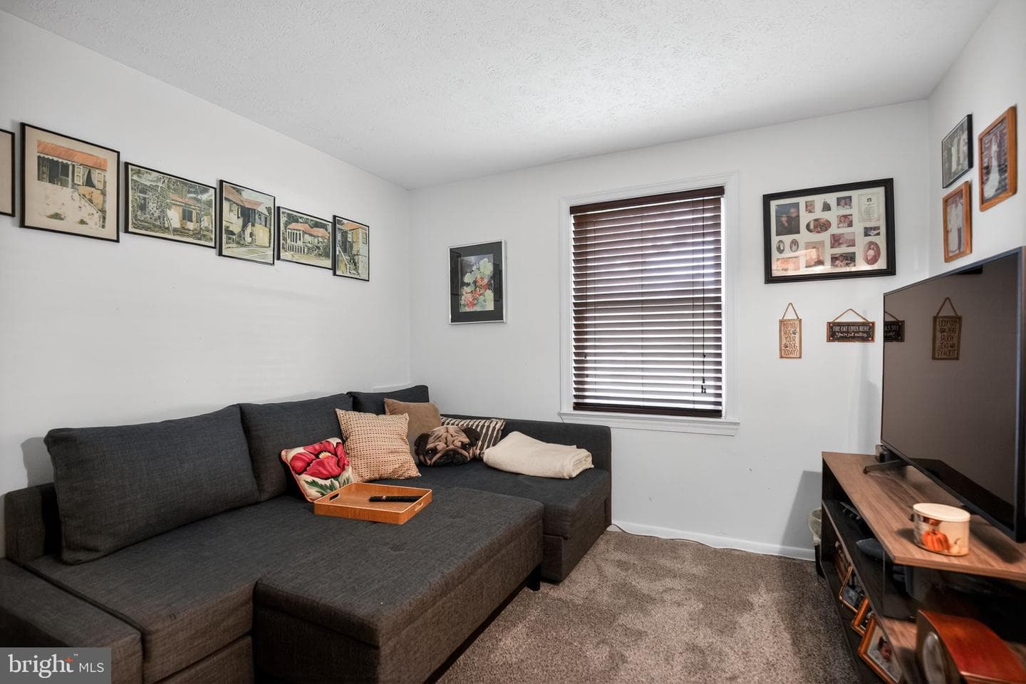 9696 Meadowview Drive photo 24