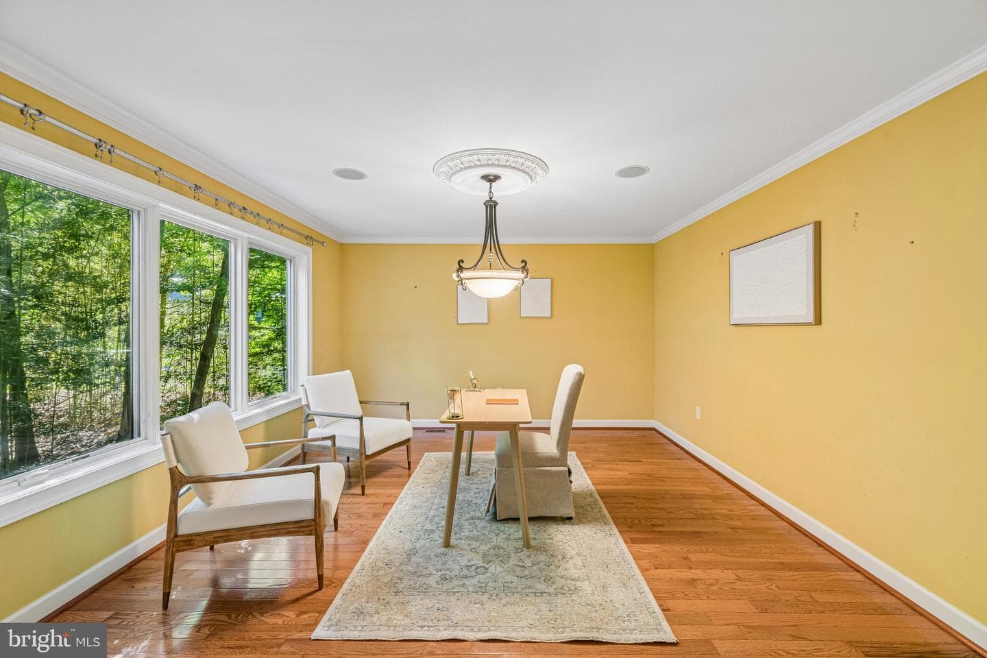 10060 Harmony Hill Lane photo 20