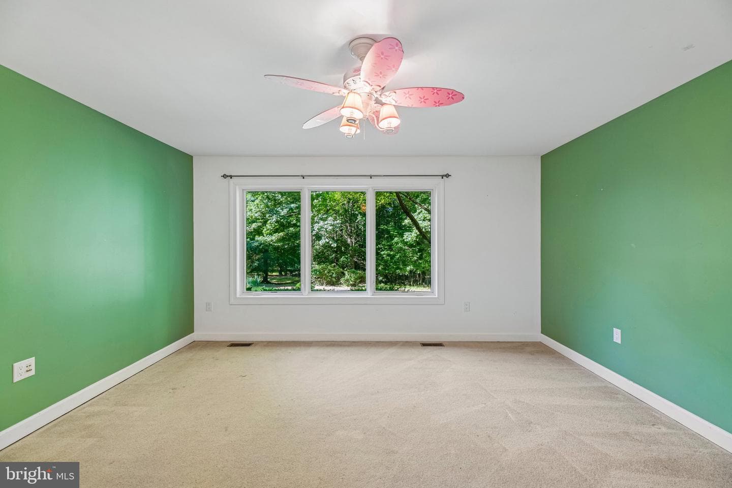 10060 Harmony Hill Lane photo 50