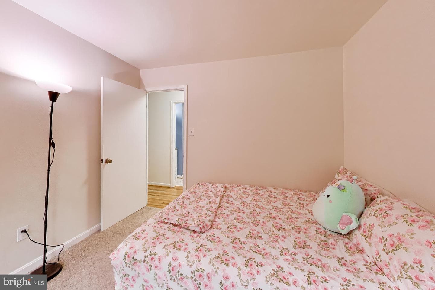 8709 Valley Drive photo 20