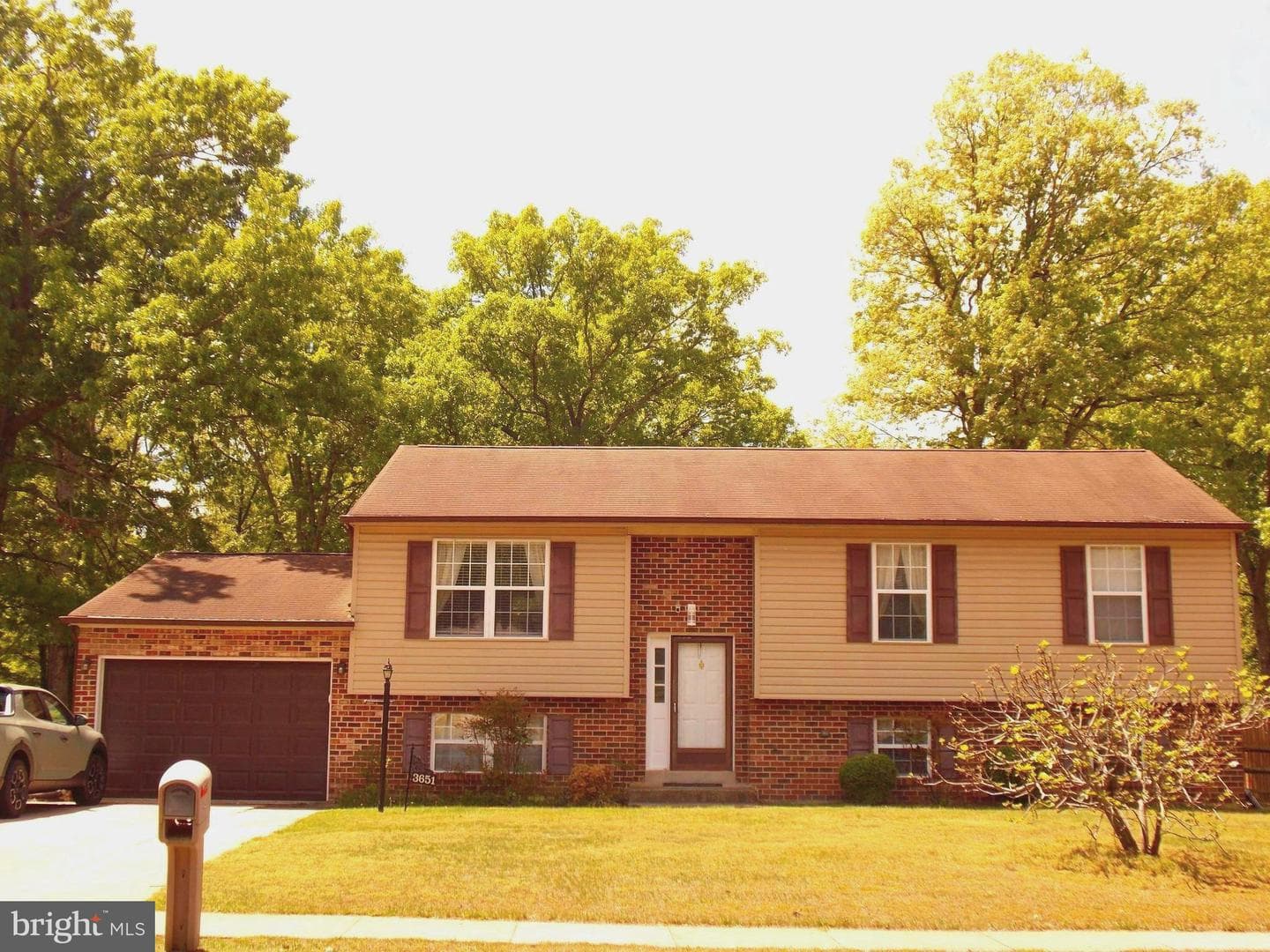 3651 Sassafras Drive photo 37