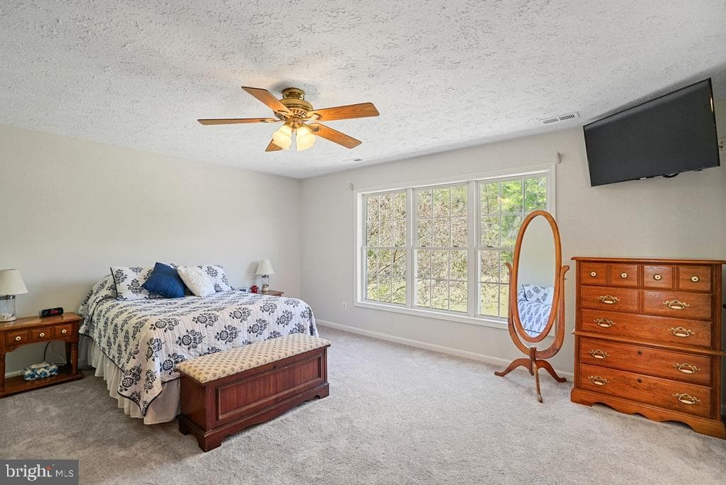 15212 Truman Manor Lane photo 25