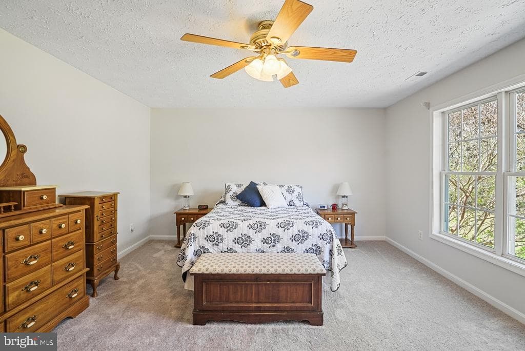 15212 Truman Manor Lane photo 9