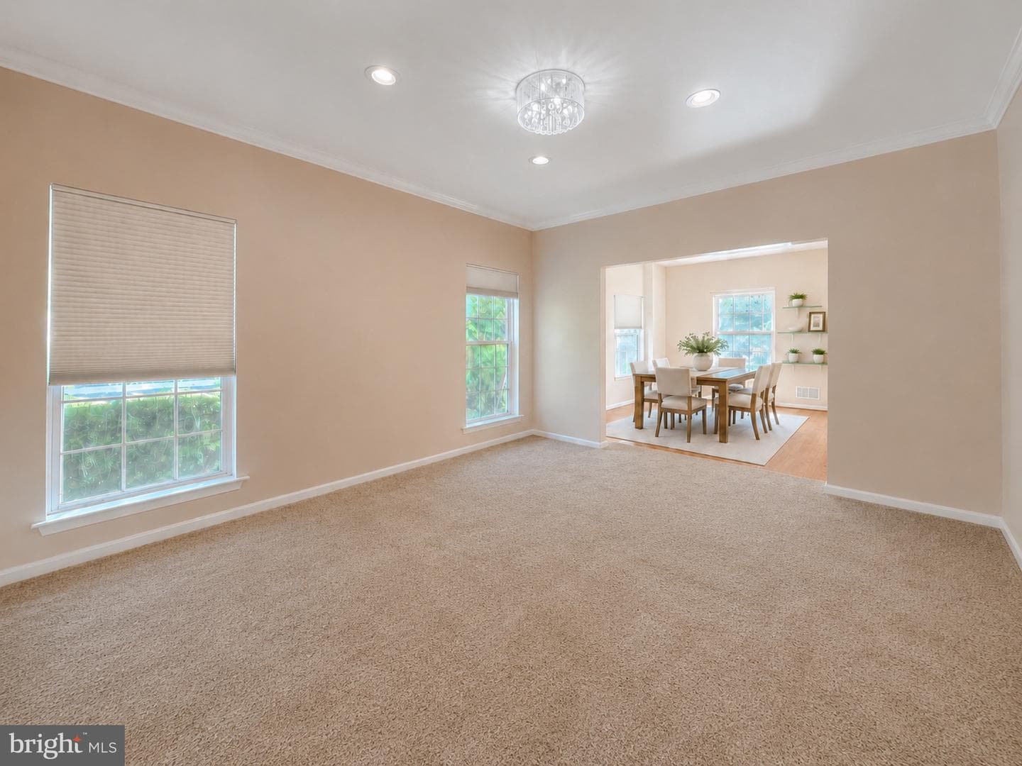 6890 Barney Drive photo 14