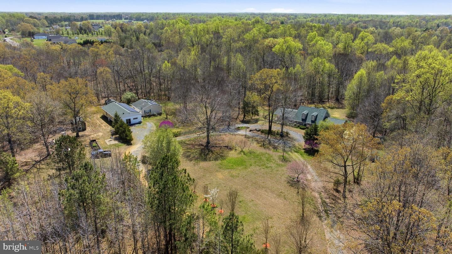 12475 Helen Fowlers Place photo 49