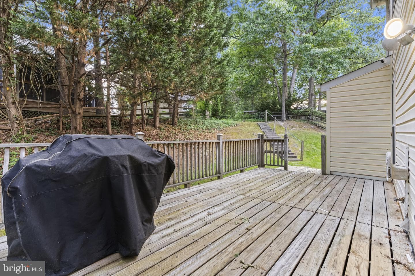 6225 Polar Bear Court photo 35