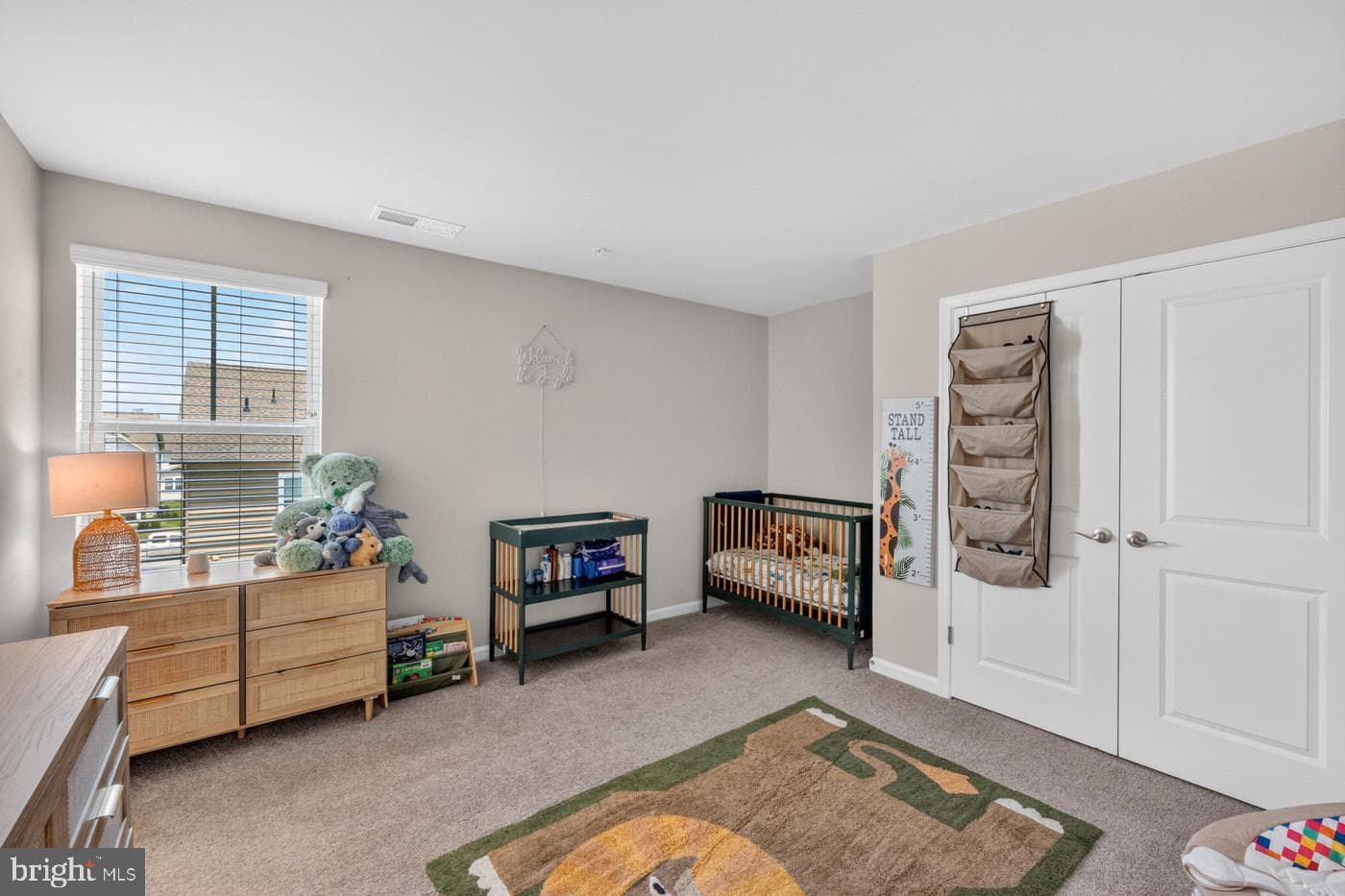 10021 Selkie Lane photo 34