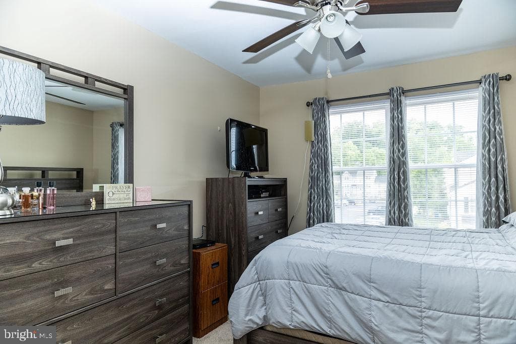 29 Dale Drive photo 17