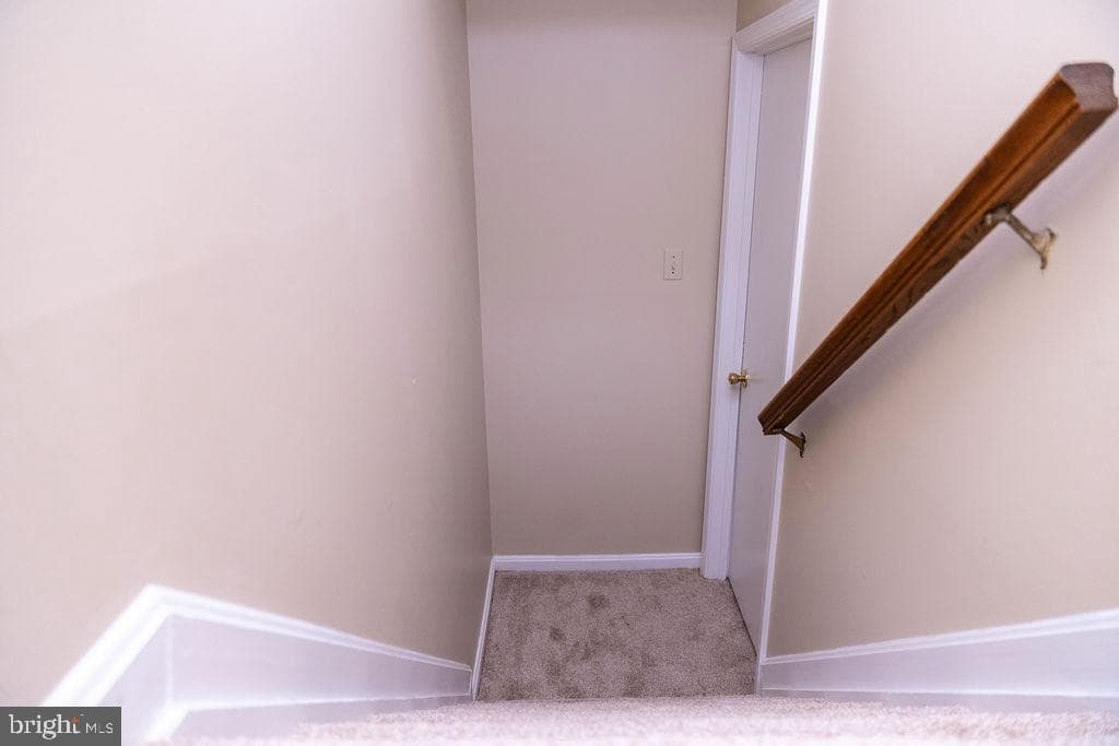 29 Dale Drive photo 28