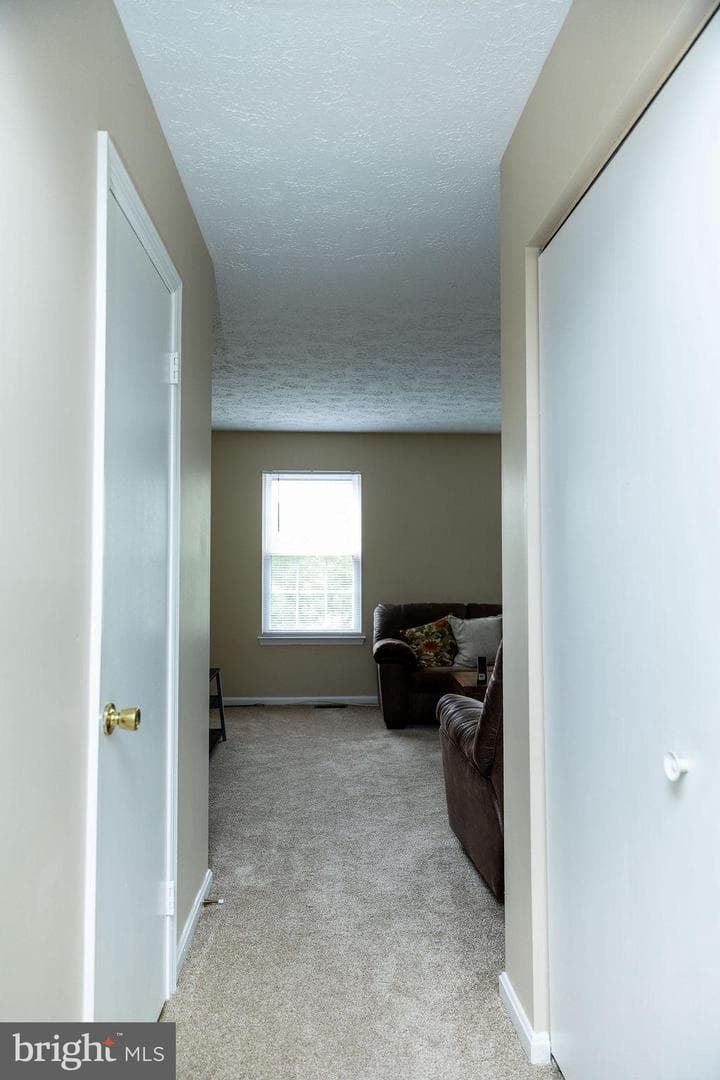 29 Dale Drive photo 33