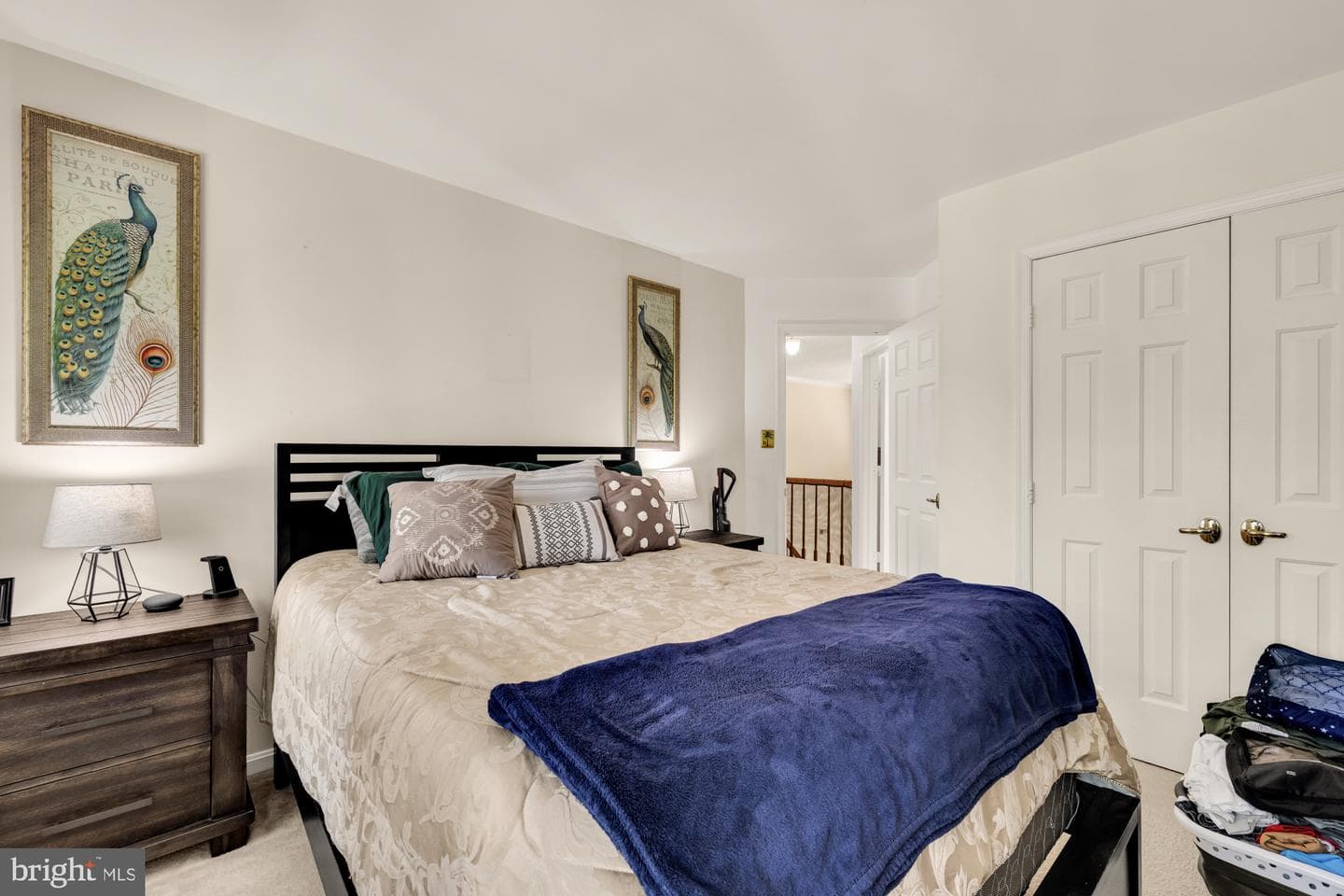 5007 Damselfish Court photo 28