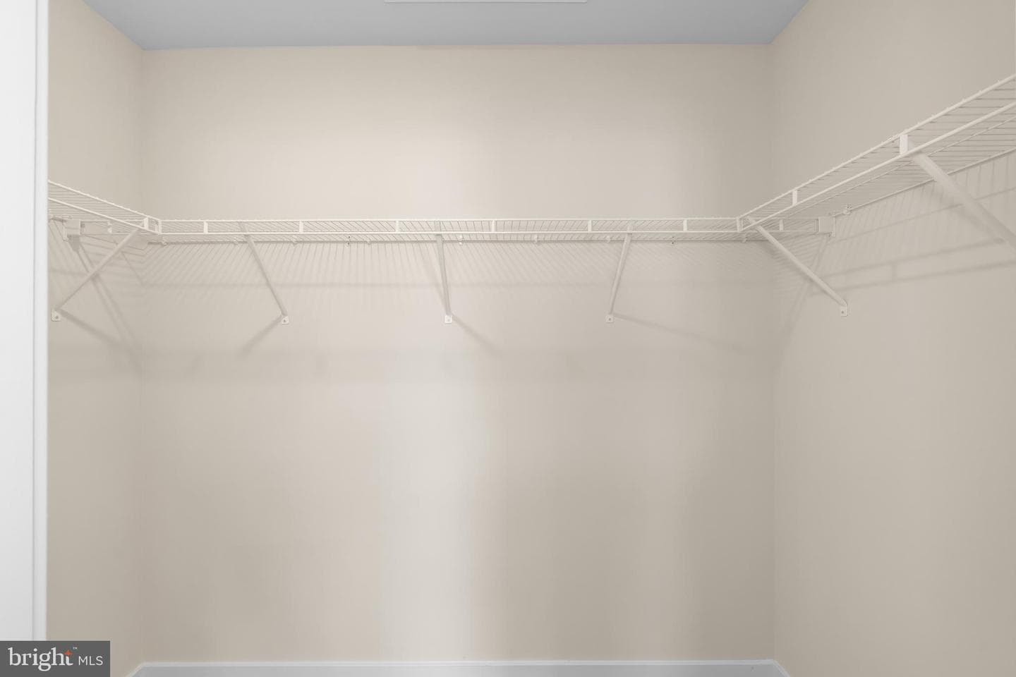 204 Soft Rush Lane photo 24
