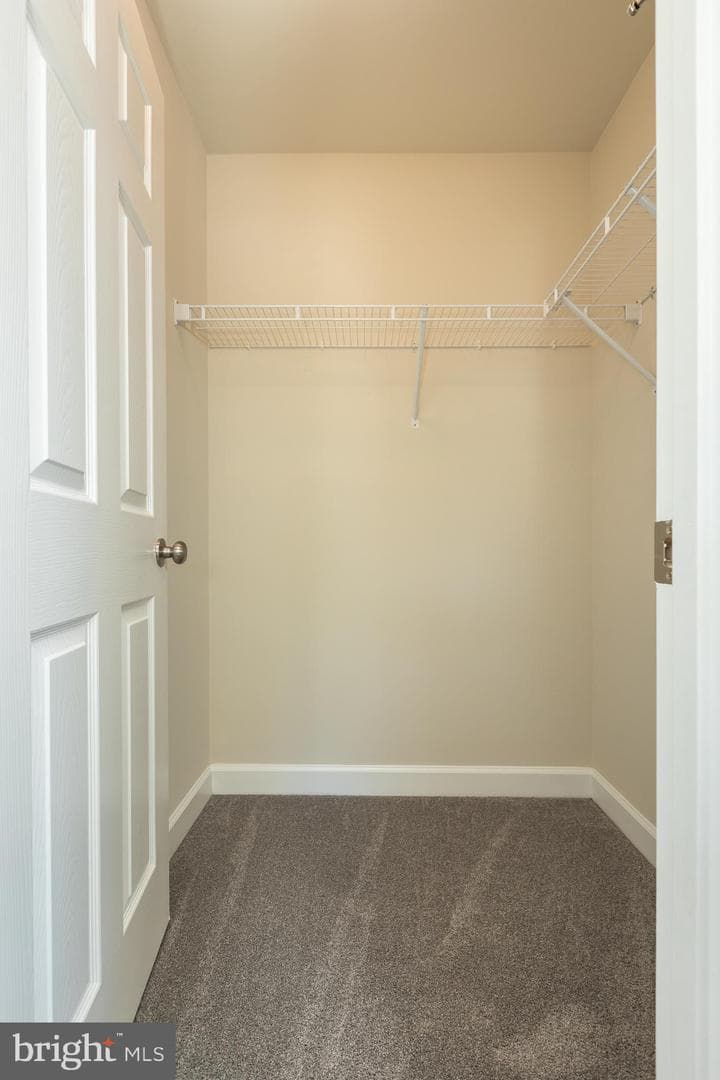 10312 Stewards Chance Lane photo 58